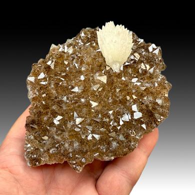 Quartz with Goethite, Calcite (47)