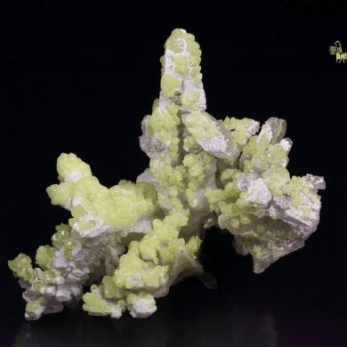 SALAMMONIAC, SULPHUR