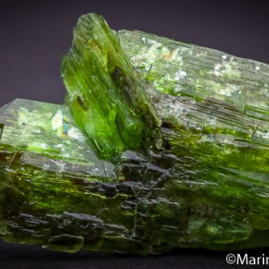 Tremolite