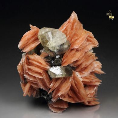 gemmy CERUSSITE, BARYTE