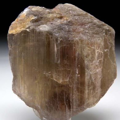 Diaspore