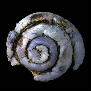 Helix in lussatite 