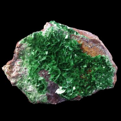 Torbernite Bois Noirs 