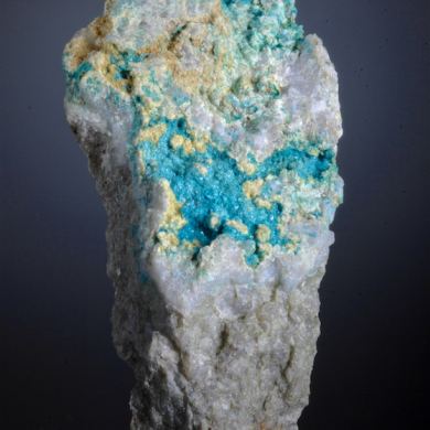 Posnjakite