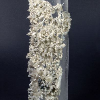 Fluorapatite with Quartz and Siderite