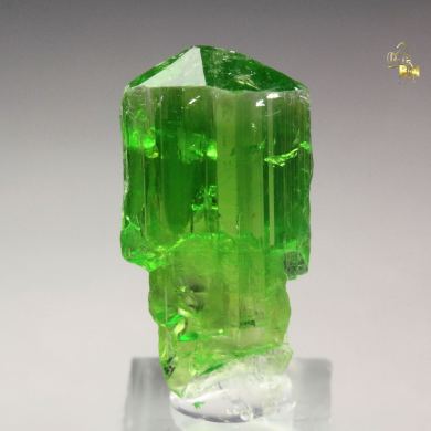 gem TREMOLITE