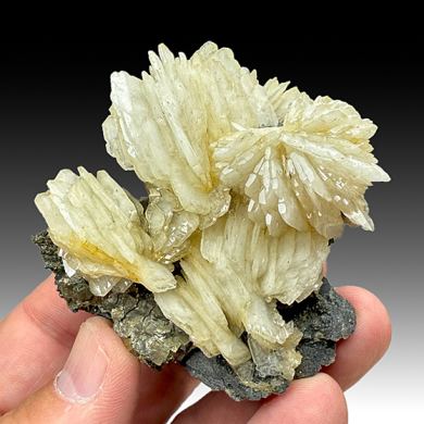 Barite with Pyrite (2157)