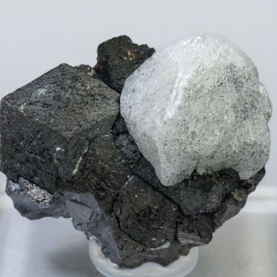 Scheelite on Magnetite