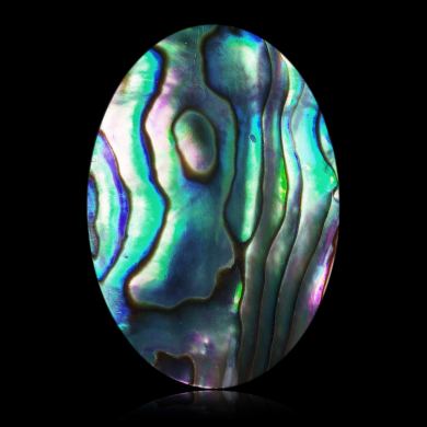 Abalone 29,93 ct 