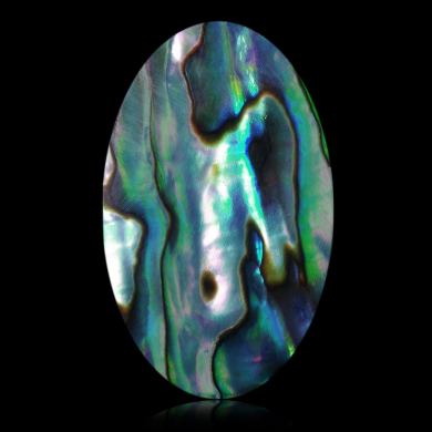 Abalone 39,53 ct 