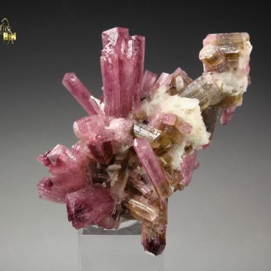 gem TOURMALINE var. ELBAITE