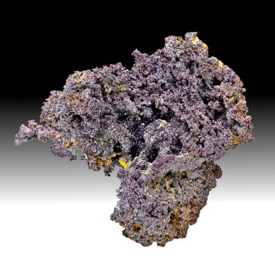 Cuprite on Copper