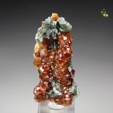 gem GARNET var. HESSONITE, CLINOCHLORE