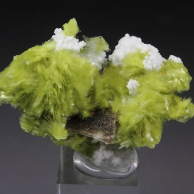 new find - CARLHINTZEITE