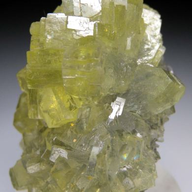 Prehnite