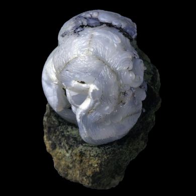 Helix in lussatite 