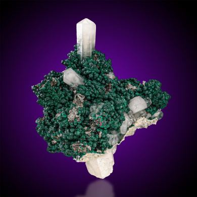 Tarnowitzite  on Malachite