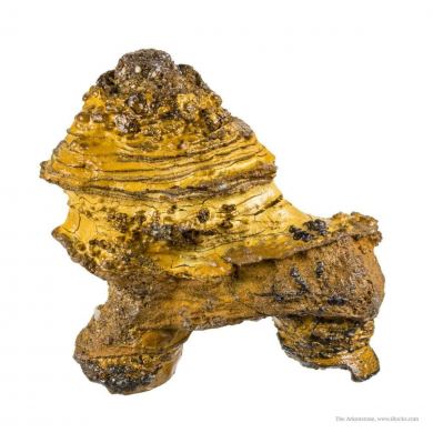 Manganese Biominerals (Todorokite, Romanechite, Birnessite) Ps. After Arthropod Burrows