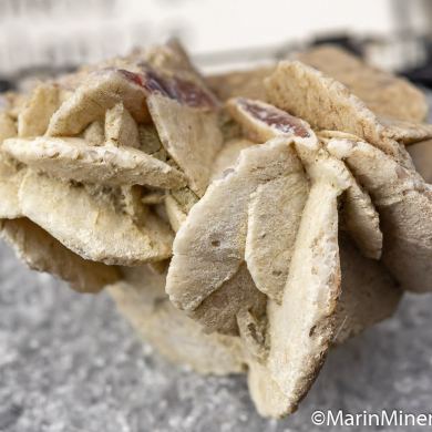 Quartz after Selenite