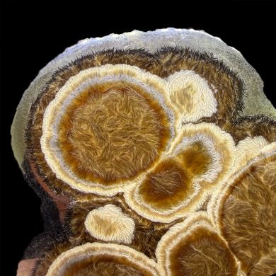 Baryte, marcasite