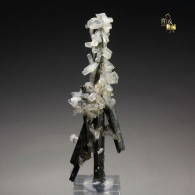 NATROLITE, AEGIRINE