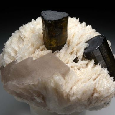 Tourmaline on Albite