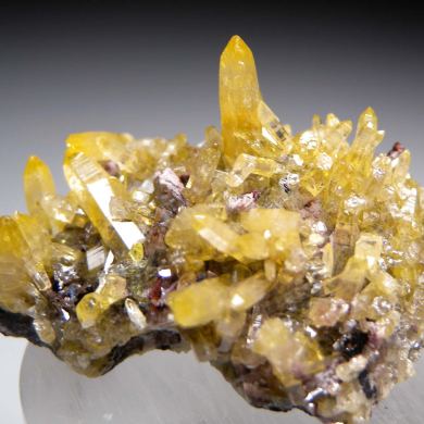 Mimetite