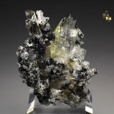 gem ANGLESITE, GALENA