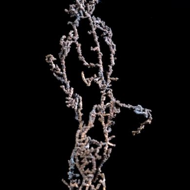 Copper - elongated spinel twin chains