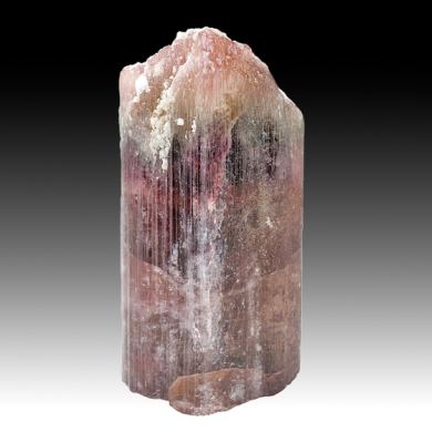 Liddicoatite
