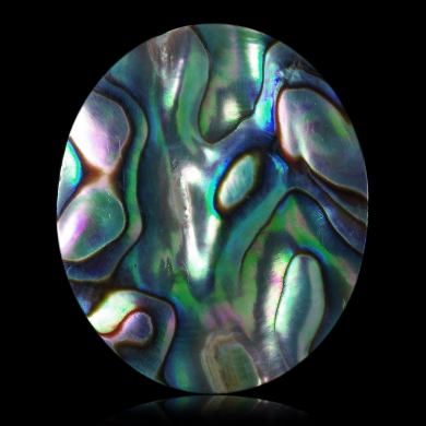 Abalone 25,94 ct 