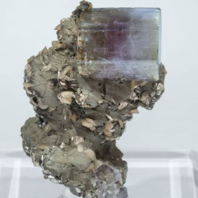 Fluorapatite with Siderite, Muscovite and Chlorite