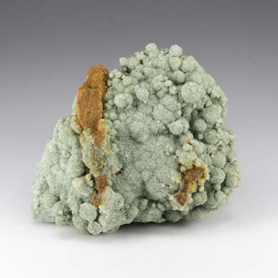 Glauconite in Calcareous Sandstone