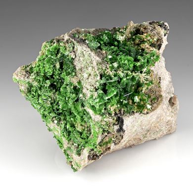 Metatorbernite