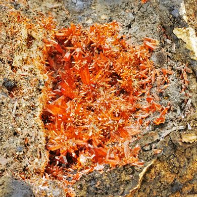 Crocoite