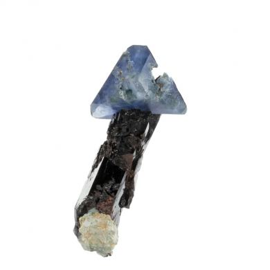 Benitoite on Neptunite