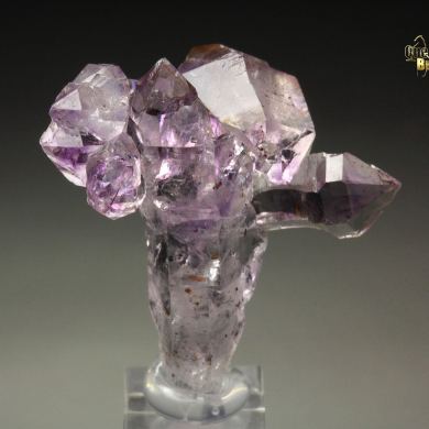 scepter QUARTZ var. AMETHYST with inclusions