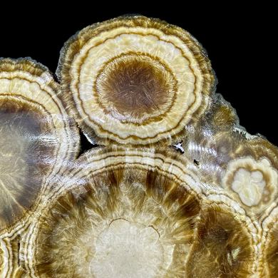 Baryte, marcasite