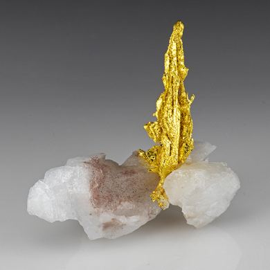 Gold with Quartz