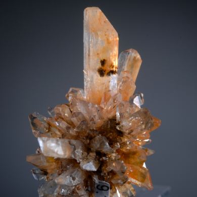 Creedite