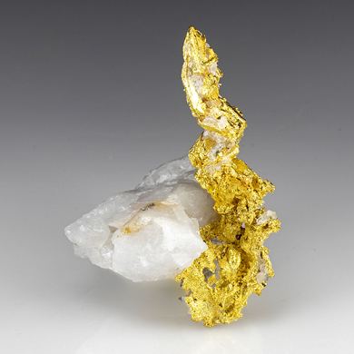 Gold with Quartz