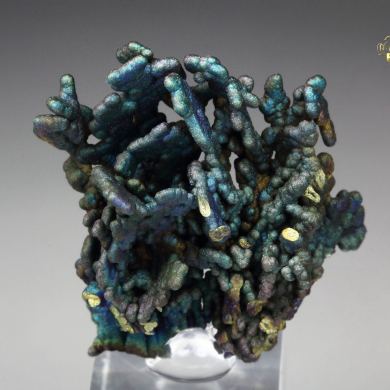 CHALCOCITE, DJURLEITE