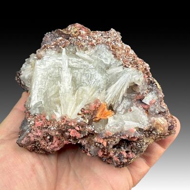 Hydroxylapophyllite-K with Inesite, Natrolite