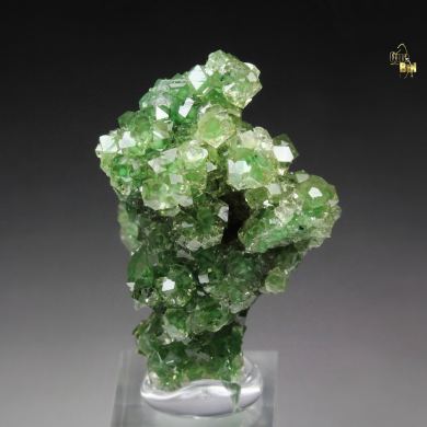 gem GARNET var. GROSSULAR with GREEN CHROMIAN PHANTOMS, CHROMITE