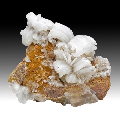 Gypsum