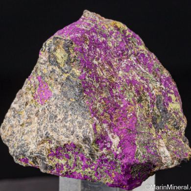 Purpurite