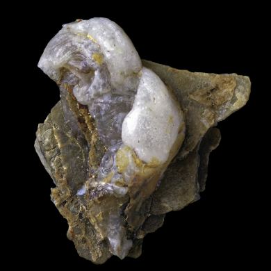 Lussatite Dallet 