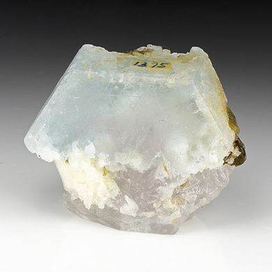 Beryl