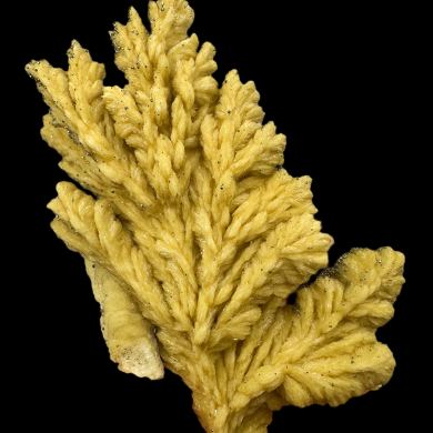 Baryte, pyrite POLAND