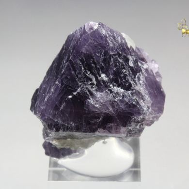 SPINEL